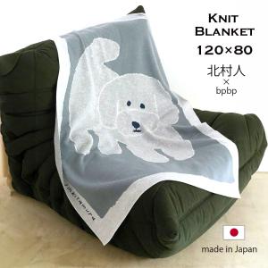 ブランケット ひざ掛け 120x80 ニット 北村人 三毛猫 ミケ 花 ねこ