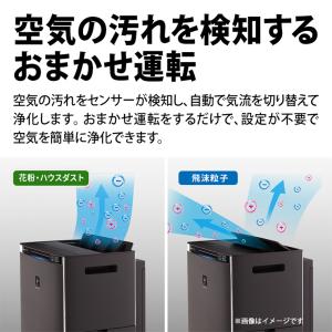 加湿空気清浄機 プラズマクラスターNEXT搭載...の詳細画像5