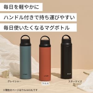 (3980円以上で送料無料) 真空断熱ボトル ...の詳細画像1