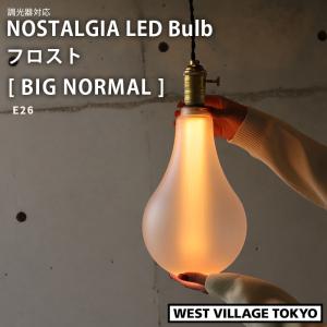エジソンバルブLED ノスタルジア 調光器対応 E26 ビッグノーマルフロスト NORMAL 150lm 電球 ライト ランプ 照明 ND-E26A165FNG ウエストビレッジ｜santecdirect