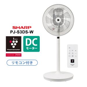 Dyson 【即日発送】【新品】Dyson ダイソン Cool AM07 タワー