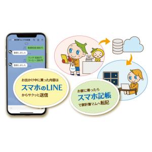 てきぱき家計簿マム10 図解マニュアル付 Wi...の詳細画像1