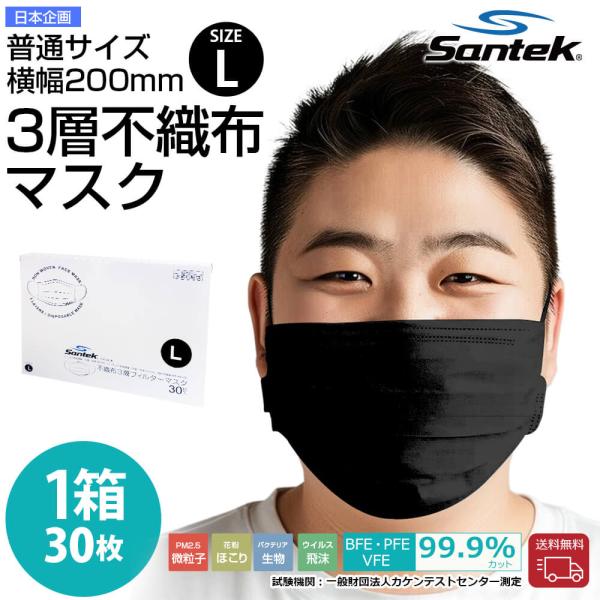 不織布マスク 黒 Lサイズ 30枚 大きめ 男女兼用 使い捨て 黒マスク UVカット ウィルス対策U...