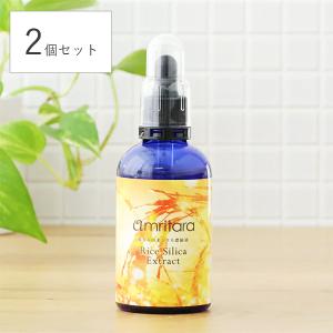 2個セット アムリターラ 稲もみ由来シリカ濃縮液 ライスシリカエキストラクト 100ml 美容 健康 濃縮液 サプリ ヘルスケア｜santelabo