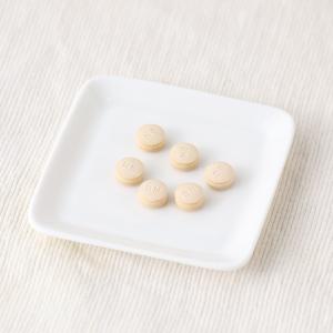 正規品 バイオノーマライザー 青パパイヤ酵素 ...の詳細画像1