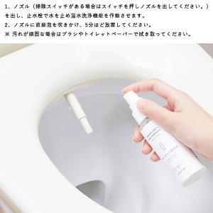 木村石鹸 トイレノズルの洗浄剤 75ml 除菌...の詳細画像1