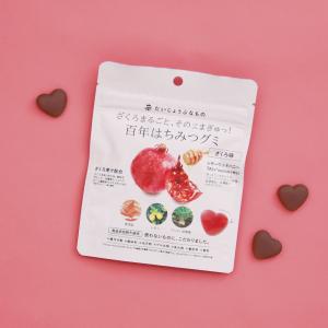 ヒトツブカンロ 【箱付き】ヒトツブカンロ グミッツェル BOX（12個入り