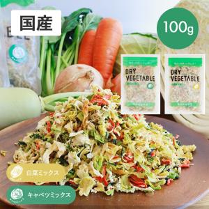 乾燥野菜 国産 ミックス  キャベツ 白菜 100g ニンジン 小松菜 大根 玉ねぎ ドライベジ 野菜ミックス｜サンテラボ(年中無休で発送)