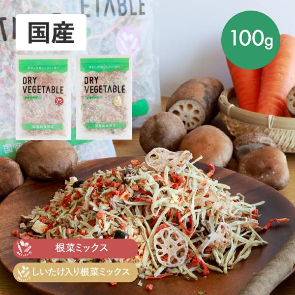乾燥野菜 国産 ミックス 根菜 しいたけ  100g れんこん 人参 ごぼう ドライベジ 野菜ミック...
