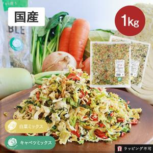 乾燥野菜 国産 ミックス  キャベツ 白菜 1kg 業務用 ニンジン 小松菜 大根 玉ねぎ ドライベジ 野菜ミックス ラッピング不可｜サンテラボ(年中無休で発送)