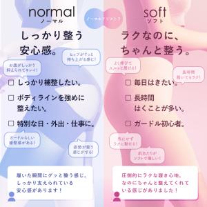 2枚セット ガードル お腹引き締め ガードルシ...の詳細画像3