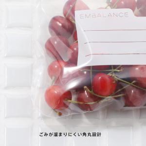 保存容器 エンバランス ジッパーバッグ 保存袋...の詳細画像1