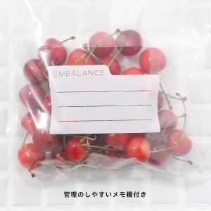 保存容器 エンバランス ジッパーバッグ 保存袋...の詳細画像2