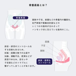 骨盤底筋サポートガードル トレーニング 吸水シ...の詳細画像1
