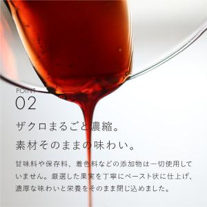 ザクロペースト デーツ 美容 インナーケア お...の詳細画像3