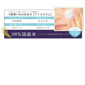 3個セット 毛穴撫子 お米のパック 170g ...の詳細画像3
