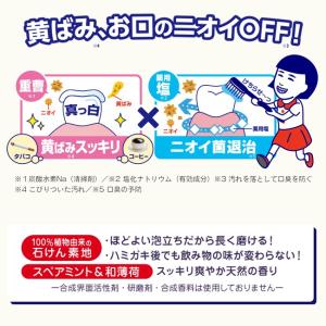 歯磨撫子 塩と重曹の薬用ハミガキ 医薬部外品 ...の詳細画像2