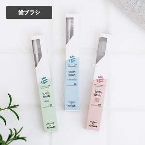 フロムココロ ブレスケアサプリ ブレスケア対策 Frepure