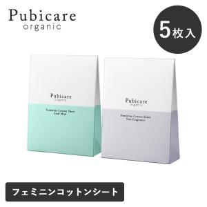 アンティーム ハイジーンシート 12枚入 デリケートゾーン用 ウェット 