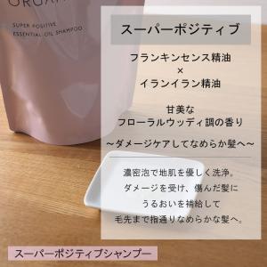 詰め替えセット ザ パブリックオーガニック 詰...の詳細画像3