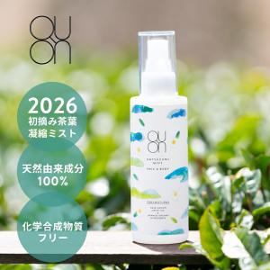 アルマダスタイル 電子トリートメント M301 1000ml ヘアケア 化粧水