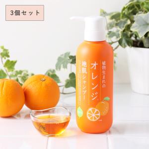 シャンプー オレンジの香り アズマ商事 オレンジシャンプー 1000ml 大
