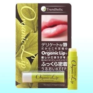 トレンドホリック オーガニックリップN 4.5g 石澤研究所 (trend holic トレンドホリック リップクリーム 保湿 自然派 リップメイク