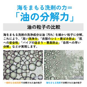 ウェルウォッシュ 海をまもる洗剤 wellwa...の詳細画像1