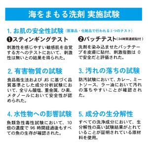 ウェルウォッシュ 海をまもる洗剤 wellwa...の詳細画像4