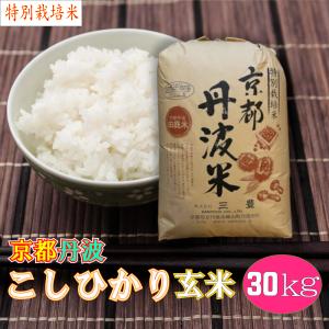 玄米 30kg コシヒカリ 特別栽培米 京都丹波産 「令和5年産」｜santoyo