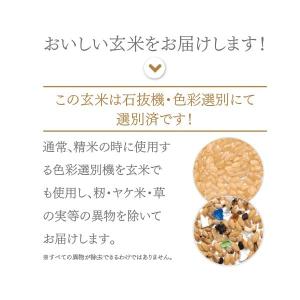 【在庫処分特価】玄米 30kg コシヒカリ 特...の詳細画像4