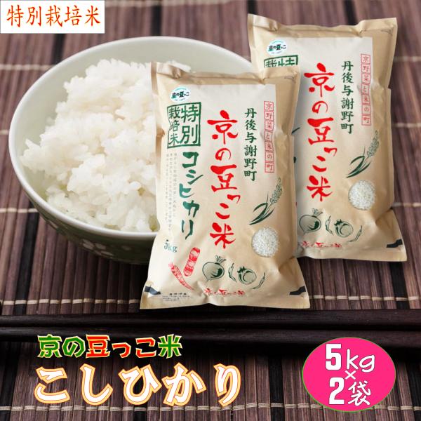 新米　白米 10kg (5kg×2袋)  京の豆っこ米 コシヒカリ 特別栽培米  京都丹後産 「令和...