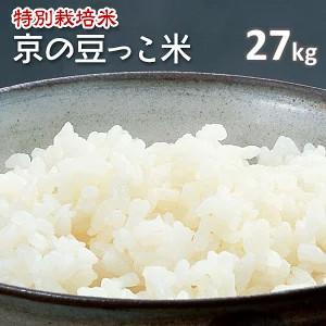 新米　白米 京の豆っこ米 コシヒカリ 特別栽培米 27kg 「令和7年産」