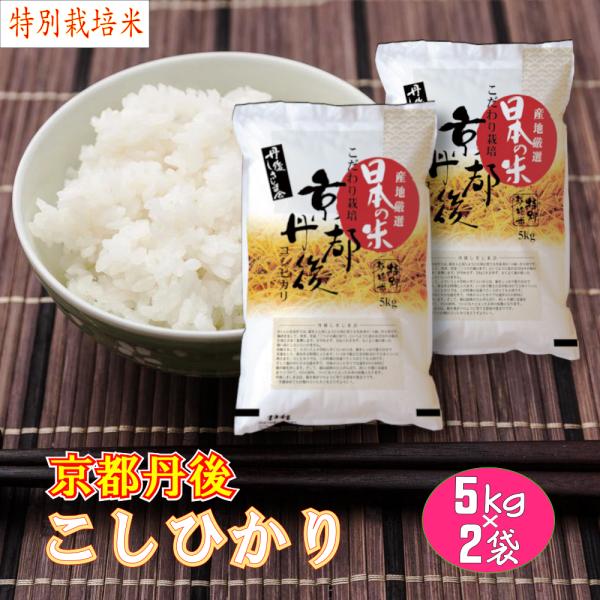 白米 10kg (5kg×2袋)  コシヒカリ 特別栽培米  京都丹後産 「令和5年産」