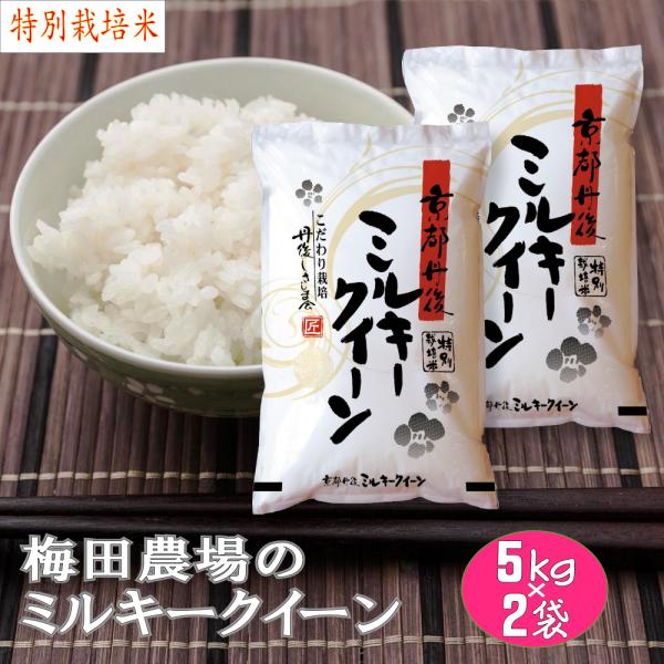 特別栽培米 白米 梅田農場の京都丹後ミルキークイーン 10kg「令和5年産」