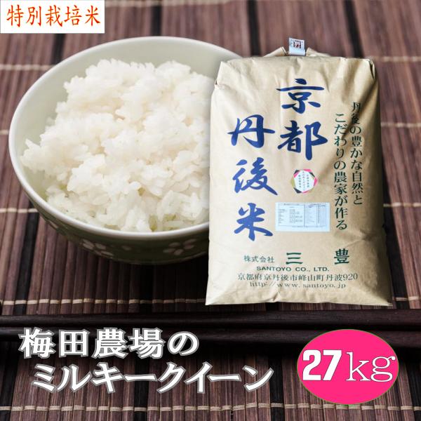 新米　特別栽培米 白米 梅田農場の京都丹後ミルキークイーン 27kg「令和7年産」