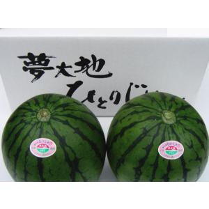 送料無料!熊本産 小玉スイカ ひとりじめ2玉入(2Lサイズ/...