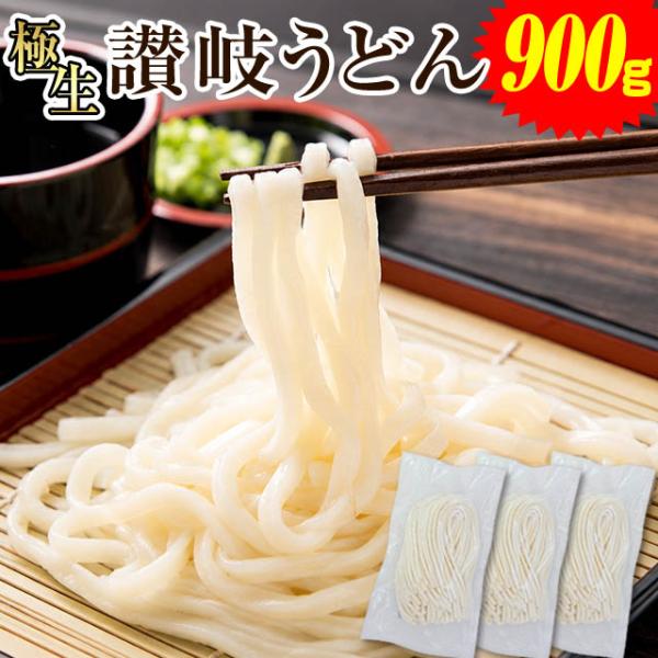 当日発送(16時頃迄)  【900g  生麺 讃岐うどん  つゆなしセット】 本場 香川直送  6人...