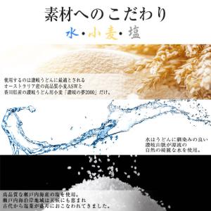 当日発送(16時頃迄) 【900g 生麺 讃岐...の詳細画像1
