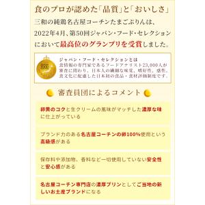 ジャパンフードセレクショングランプリ受賞 送料...の詳細画像4