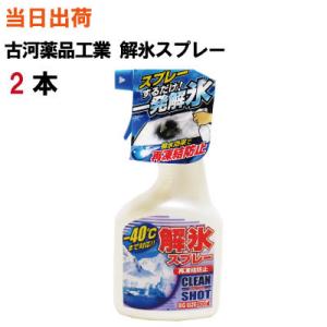 解氷スプレートリガー 500ml 2本 全国送料無料 KYK 古河薬品工業