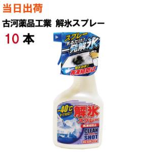 解氷スプレートリガー 500ml 10本 全国送料無料 KYK 古河薬品工業