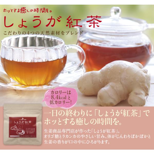サンワ食研 しょうが紅茶（30袋入） セイロン紅茶 高知県産乾燥生姜100％ 天然オリゴ糖 紅茶ステ...