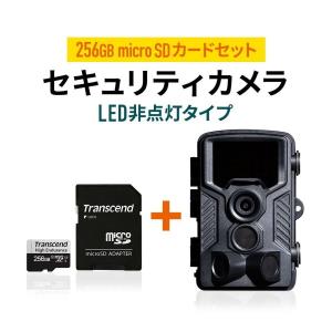 防犯カメラ 屋外 家庭用 小型 不可視赤外線LED 電池式 高画質 4K トレイルカメラ 256GB microSDXCカード付き TS256GUSD350V 402-CAM092SET1｜サンワダイレクト