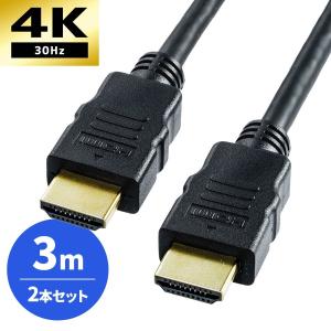 HDMIケーブル 3m 4K 30Hz ARC HEC 3D フルハイビジョン PS5 PS4 対応 金メッキ コネクタ ノイズに強い 高品質 ケーブル テレビ パソコン PC 2本セット｜sanwadirect