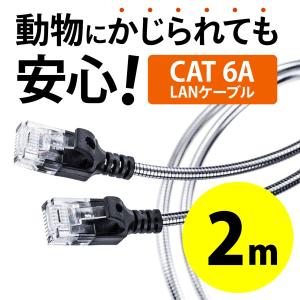 LANケーブル CAT6A 2m カテゴリ 6A カテ6A ギガ 金属性 ツメ折れ防止 ランケーブル 高速