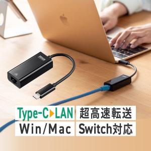 有線LANアダプター USB Type-C アダプタ 高速通信 MacBook ChromeBook iPad Pro Nintendo Switch スイッチ Windows Mac 対応 変換アダプタ 500-USB072BK｜サンワダイレクト