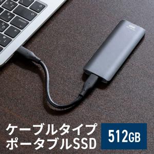 SANWA SUPPLY SSD 外付け 1TB ポータブルSSD USB3.2 Gen2 最大 SANWA SUPPLY SSD 外付け 1TB ポータブルSSD USB3.2 Gen2 最大