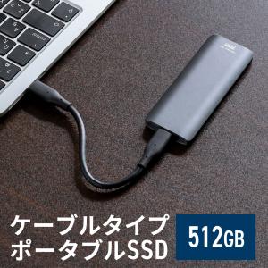 SSD 外付け 512GB ポータブルSSD USB3.2 Gen2 最大読込速度約1000MB/s 小型 テレビ録画 PS5/PS4/Xbox Series X Type-A/Type-C 600-USSDL512GB