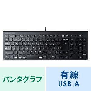 USBキーボード コンパクト スリム パンタグラフ テンキー付き ブラック（SKB-SL31BK）｜sanwadirect